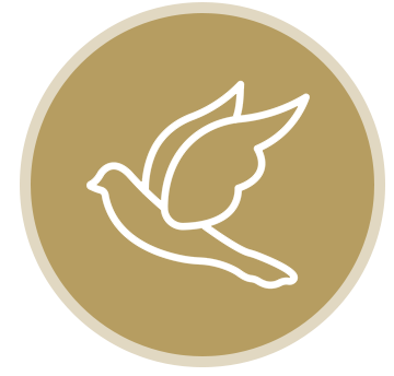 Logo Icon Favicon